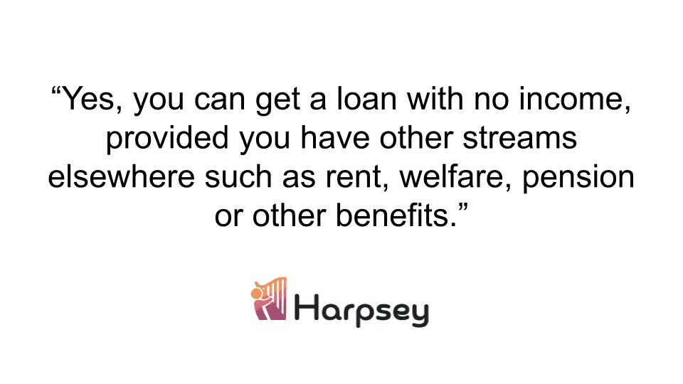loan with no income